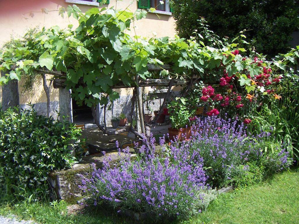 Casa Gialla B&B Tegna Eksteriør bilde